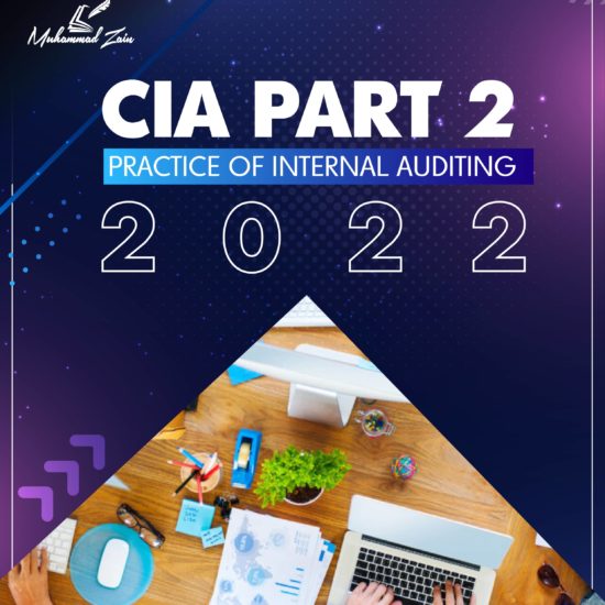 cia part 2 practice of internal auditing 2022