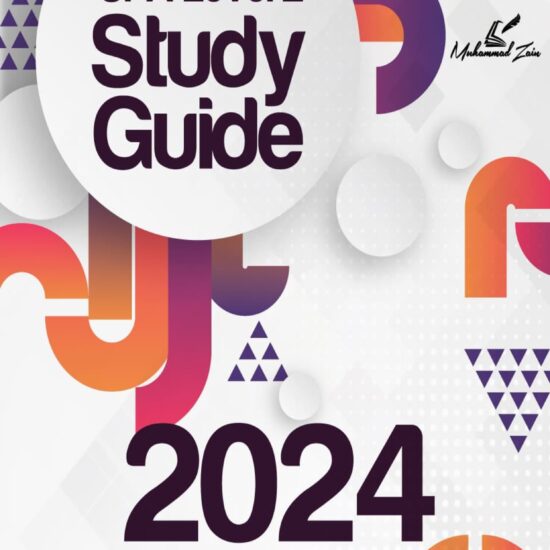 cfa level 2 study guide 2024